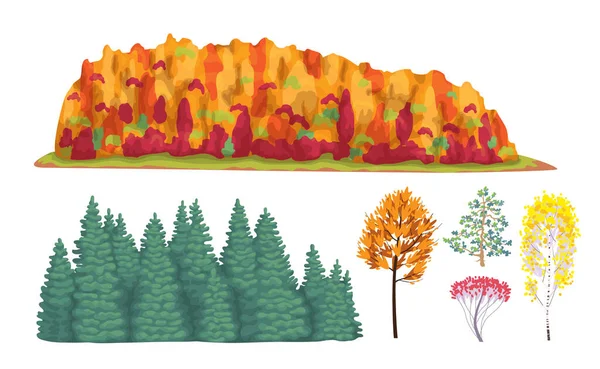一组简朴的秋天树 黄色和红色的叶子在白色上隔离 五彩斑斓的针叶林和落叶林碎片 不同的植物在秋天的季节矢量以扁平的方式图解 — 图库矢量图片
