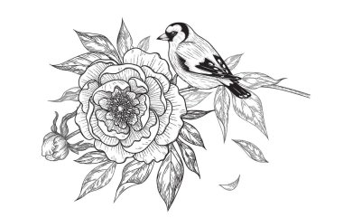 Şakayık dalında oturan saka kuşu beyaz arka planda izole edilmiş. Vector monokrom zarif çiçek kompozisyonu. Kuş ve çiçeğin klasik tarzı, tişörtü, dövme tasarımı.. 