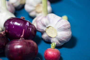 Mavi arka planda sağlıklı sebzeler. Taze sarımsak (allium, Bulbus Allii Sativ) besin ve eser elementlerin gerçek bir deposudur. Kırmızı tatlı soğan (solaninum) - doğal antioksidan. Sebzeler güzel bir görünüme ve çekici bir renge sahiptir.