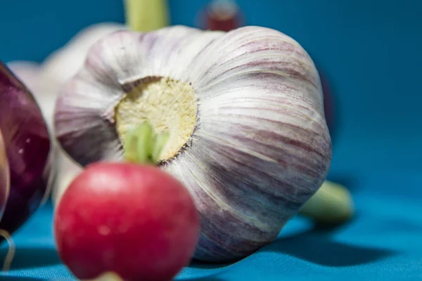 Gesundes Gemüse Auf Blauem Hintergrund Rettich Frischer Knoblauch Allium Bulbus — Stockfoto