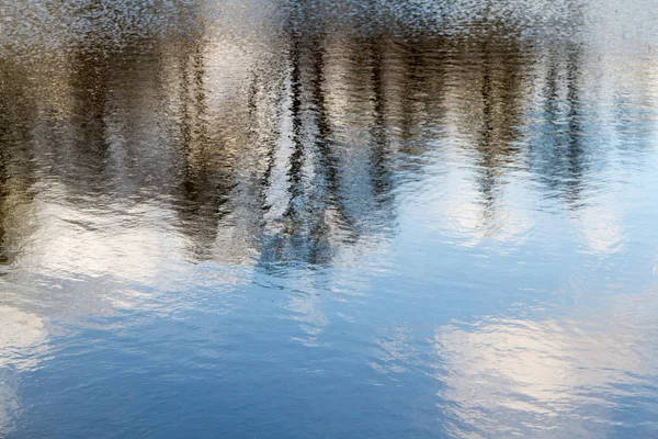 Отражение Деревьев Воде Растение Листьев Снято Весной Вода Озере Синяя — стоковое фото