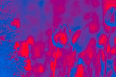 Mavi ve kırmızı tonlarda soyutlama. Çeşitli bitkilerden arka plan. Çiçekler, laleler, dallar, farklı renkte doğal bitkiler.