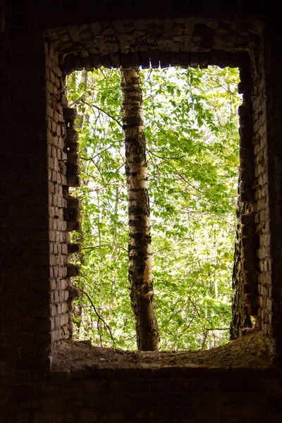 Alten Backsteinbau Ruiniert Von Der Zeit Fensteröffnung Einer Ziegelwand Frühling — Stockfoto