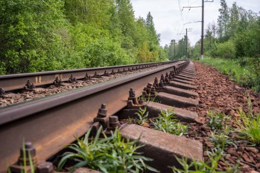 Ormanda demiryolu. Raylar ve uyuyanlar ezilmiş granit üzerinde. Bahar gündür..