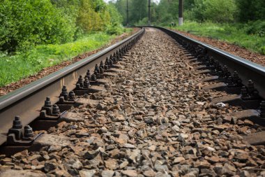 Ormanda demiryolu. Raylar ve uyuyanlar ezilmiş granit üzerinde. Bahar gündür..