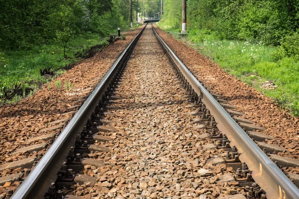 Ormanda demiryolu. Raylar ve uyuyanlar ezilmiş granit üzerinde. Bahar gündür..