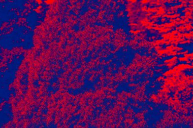 Farklı renklerde soyutlama. Temanın temeli, çeşitli bitkiler, yapraklar, dallar.