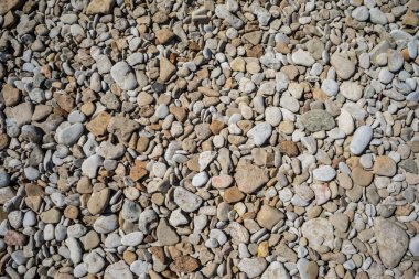 Deniz çakıllarının arka planı. Finlandiya Körfezi kıyılarında kireçtaşı kayalar.