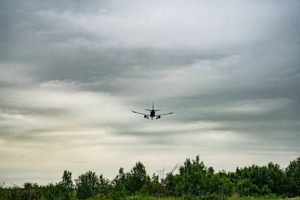 Avión Pasajeros Aterriza Aeropuerto Pulkovo San Petersburgo Rusia Junio 2019 — Foto de Stock