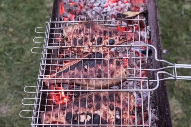 Domatesler kömürle pişirilir. Izganda balık. Demir Barbekü. Yanmış ahşaptan yüksek sıcaklık. Akşam. Yaz.