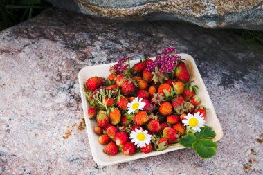 Tahta bir tabakta taze kırmızı çilek. Çilek C vitamini kaynağıdır. Bu meyve doğal bir afrodizyak. Doğal granit taş arka planda kır çiçekleri ile kolaj.