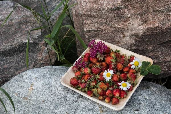 Tahta bir tabakta taze kırmızı çilek. Çilek C vitamini kaynağıdır. Bu meyve doğal bir afrodizyak. Doğal granit taş arka planda kır çiçekleri ile kolaj.