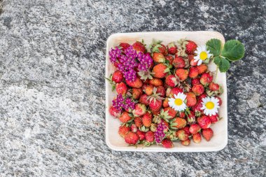 Tahta bir tabakta taze kırmızı çilek. Çilek C vitamini kaynağıdır. Bu meyve doğal bir afrodizyak. Doğal granit taş arka planda kır çiçekleri ile kolaj.
