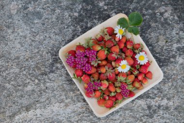 Tahta bir tabakta taze kırmızı çilek. Çilek C vitamini kaynağıdır. Bu meyve doğal bir afrodizyak. Doğal granit taş arka planda kır çiçekleri ile kolaj.