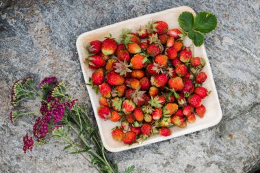 Tahta bir tabakta taze kırmızı çilek. Çilek C vitamini kaynağıdır. Bu meyve doğal bir afrodizyak. Doğal granit taş arka planda kır çiçekleri ile kolaj.
