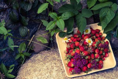 Tahta bir tabakta taze kırmızı çilek. Çilek C vitamini kaynağıdır. Bu meyve doğal bir afrodizyak. Bahçe bitkileri arka planda yabani çiçekler ile kolaj.