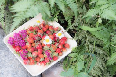 Tahta bir tabakta taze kırmızı çilek. Çilek C vitamini kaynağıdır. Bu meyve doğal bir afrodizyak. Doğal granit taş arka planda kır çiçekleri ile kolaj.