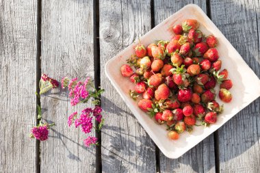 Tahta bir tabakta taze kırmızı çilek. Çilek C vitamini kaynağıdır. Bu bir berry - doğal bir afrodizyak, eski ahşap tahtalardan masanın arka planda yabani çiçekler ile Kolaj.