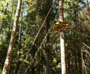 Halat ekstrem park. Çocuklar için cazibe, ağaçlara tırmanma. Asma ip parkı. Yaz. Güneşli bir gün.