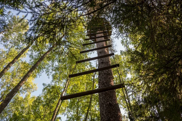 Touw Extreme Park Attractie Voor Kinderen Klimbomen Hangende Touw Park — Stockfoto