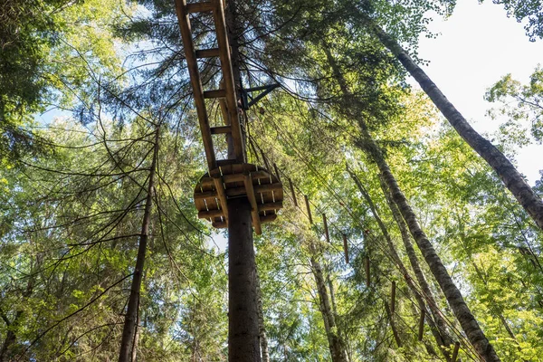 Rope Extreme Park Attraction Children Climbing Trees Hanging Rope Park — Stock Photo, Image