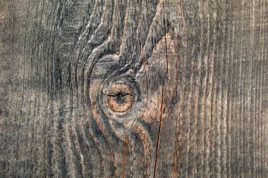 Eski ahşap dokudan arka plan. Softwood tahtaları. Yıllık halkalar ve dalları (düğüm) Güzel, doğal desen keser. Yaz, güneşli gün.