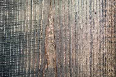 Eski ahşap dokudan arka plan. Softwood tahtaları. Yıllık halkalar ve dalları (düğüm) Güzel, doğal desen keser. Yaz, güneşli gün.