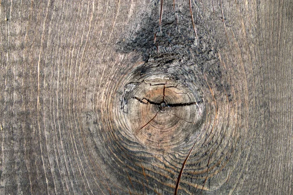 Pozadí Staré Struktury Dřeva Jehličnatých Desky Jednoroční Kroužky Kusy Větví — Stock fotografie
