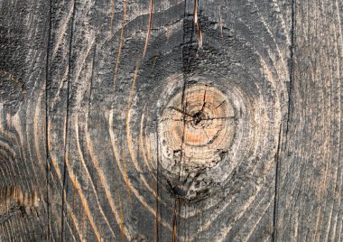 Eski ahşap dokudan arka plan. Softwood tahtaları. Yıllık halkalar ve dalları (düğüm) Güzel, doğal desen keser. Yaz, güneşli gün.