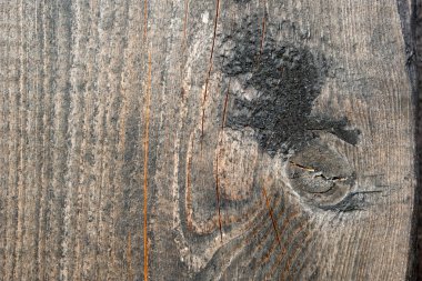 Eski ahşap dokudan arka plan. Softwood tahtaları. Yıllık halkalar ve dalları (düğüm) Güzel, doğal desen keser. Yaz, güneşli gün.