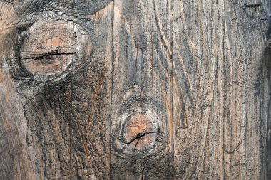 Eski ahşap dokudan arka plan. Softwood tahtaları. Yıllık halkalar ve dalları (düğüm) Güzel, doğal desen keser. Yaz, güneşli gün.