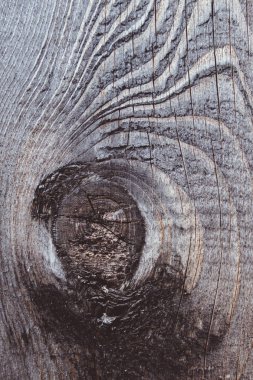 Eski ahşap dokudan arka plan. Softwood tahtaları. Yıllık halkalar ve dalları (düğüm) Güzel, doğal desen keser. Yaz, güneşli gün.