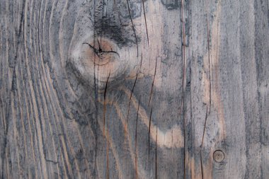 Eski ahşap dokudan arka plan. Softwood tahtaları. Yıllık halkalar ve dalları (düğüm) Güzel, doğal desen keser. Yaz, güneşli gün.