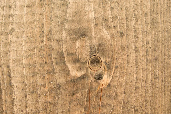 Φόντο Από Παλιά Ξύλινη Υφή Σανίδες Μαλακή Ξυλεία Ετήσια Δαχτυλίδια — Φωτογραφία Αρχείου