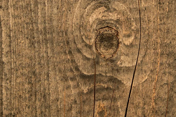 Fondo Textura Madera Vieja Tableros Madera Blanda Anillos Anuales Cortes — Foto de Stock