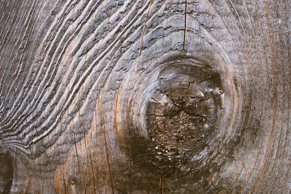 Sfondo Struttura Legno Vecchio Pannelli Resinosi Anelli Annuali Tagli Rami — Foto Stock