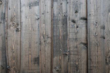 Eski ahşap dokudan arka plan. Softwood tahtaları. Yıllık halkalar ve dalları (düğüm) Güzel, doğal desen keser. Yaz, güneşli gün.