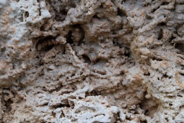 Eski taşın arka planı. Kireçtaşı kalsit kristalleri şeklinde kalsiyum karbonat (Caco3) oluşan organik, daha az sıklıkta kemojenik kökenli bir sedimanter, detrital kaya.