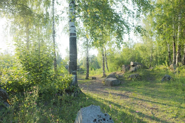 Weg Het Bos Ruïnes Van Het Paleis Het Park Zomer — Stockfoto