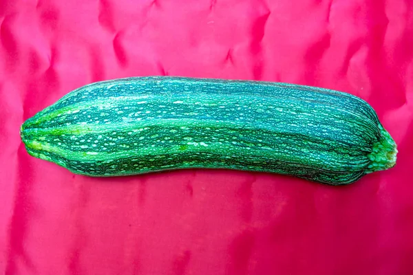 Zucchini Buske Variation Pumpa Vanliga Med Avlånga Frukter Utan Fransar — Stockfoto