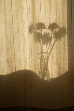 Soyutlama, vazodaki çiçeklerin arka plan siluetleri. Penceredeki perdelerden nesnelerin gölgesi.