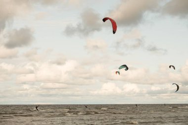 St. Petersburg şehri. Rusya. 3 Ağustos 2019. Gün. Ladoga Gölü'nün kıyısı. Mavi gökyüzü bir arka plan üzerinde çok renkli uçurtma. İnsanlar denizde, bir paraşüt ve rüzgar yardımıyla suda paten sahip dinlenmek. Bulutlarla renkli gökyüzü. Yaz.