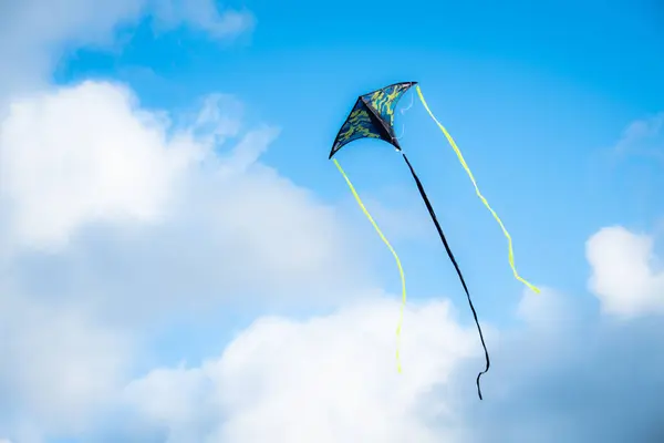 Papagaio Voando Contra Céu Azul Brinquedo Que Voa Por Exposição — Fotografia de Stock