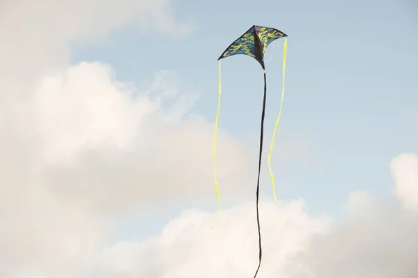 Papagaio Voando Contra Céu Azul Brinquedo Que Voa Por Exposição — Fotografia de Stock