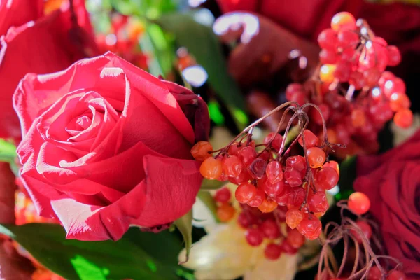 Rote Rose Und Ein Strauß Blumen Beeren Von Rotem Viburnum — Stockfoto