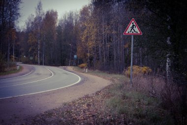 Asfalt yolu olan bir manzara. Sonbahar ormanının arka planına karşı. Sonbahar, gün. Genel olarak bulutlu.