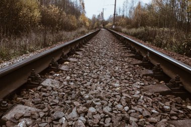 Demiryolunun metal rayları. Güçlendirilmiş beton yatakları granit molozlarla kaplıdır. Sonbahar ormanının manzarası. İyi günler. Genel olarak bulutlu.