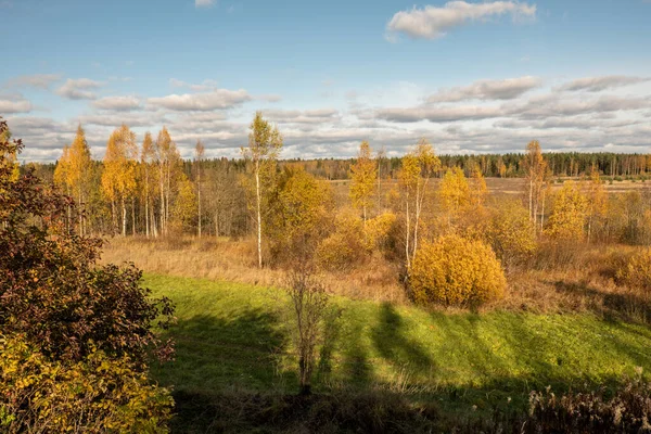 Herfstlandschap Uitzicht Vanaf Berg Naar Het Veld Lem Bladverliezende Bomen — Stockfoto