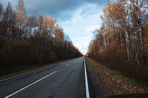 Paisaje Con Carretera Asfaltada Fondo Del Bosque Otoño Otoño Día —  Fotos de Stock