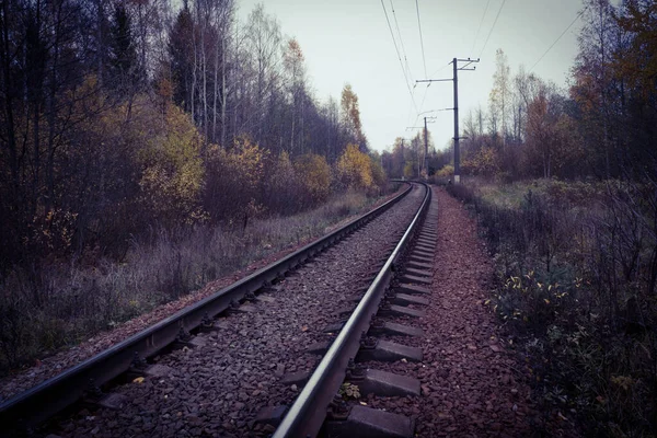 Rotaie Metalliche Della Ferrovia Traversine Cemento Armato Sono Coperti Con — Foto Stock